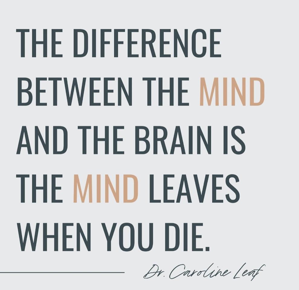 The mind and brain